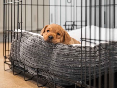 Cosy & Calming Puppy Crate Bed With Removable Covers in Dark Grey Essentials Plush by Lords & Labradors Online now