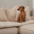 Sofa Topper in Savanna Bone by Lords & Labradors For Cheap