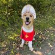 Holy Hound Dog Costume Hot on Sale