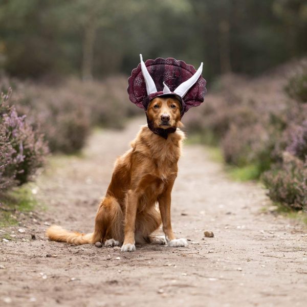 Tricerdog Dog Costume For Sale